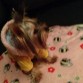 bethi